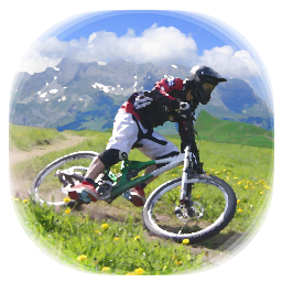 Downhill Champion